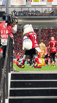 影響確認 Shop2Site